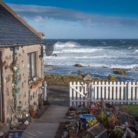 Pew With A View - Seafront Cottages Sandhaven Экстерьер фото